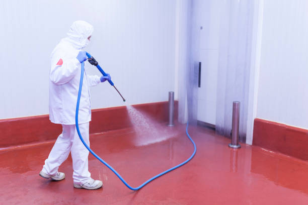 Best Winterizing Services  in Spout Springs, NC